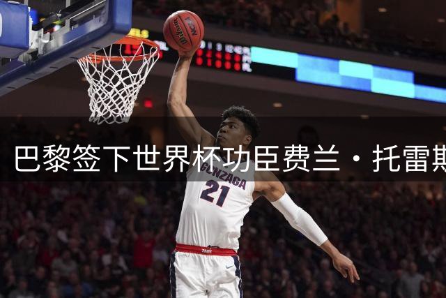 巴黎签下世界杯功臣费兰·托雷斯